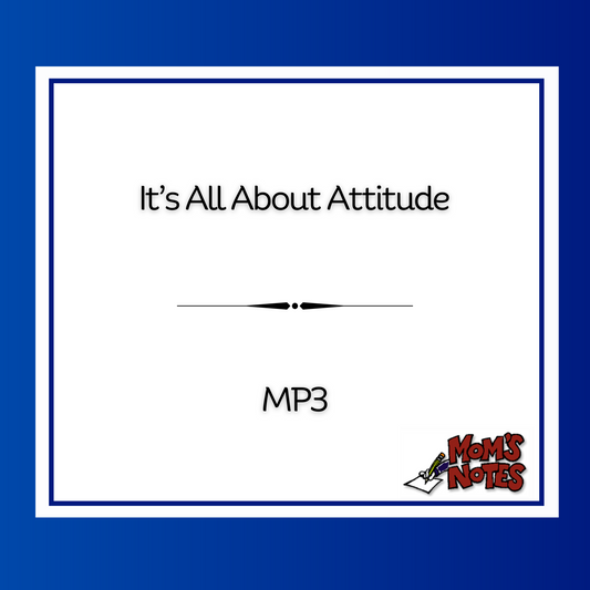 It's All About Attitude MP3